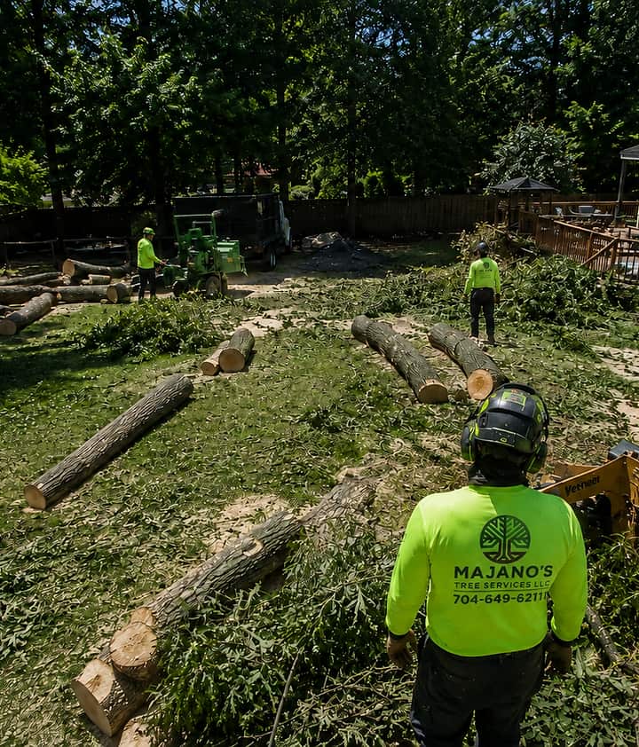 Majano's Tree Service team — Matthews NC
